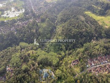 DIJUAL TANAH SELUAS 91 ARE DI GIANYAR