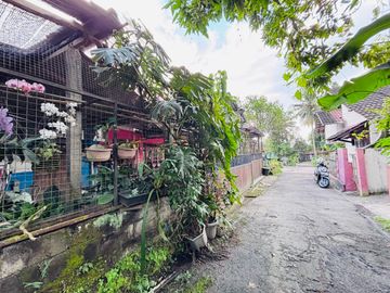Rumah Murah SHM di Tempel