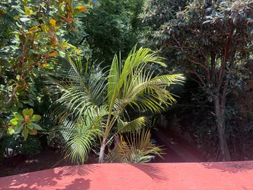 Casa en venta en Bellavista, Cuernavaca, Morelos