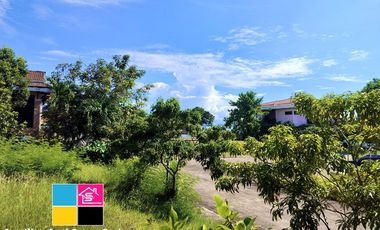 LOT FOR SALE IN AMARA SUBDIVISION LILOAN CEBU