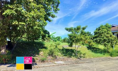 LOT FOR SALE IN AMARA SUBDIVISION LILOAN CEBU