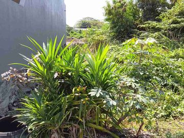 Tanah Murah siap Bangun di Wonorejo Selatan, Rungkut, Sby Timur