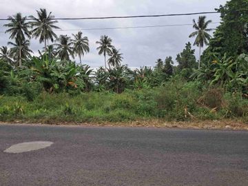 DIJUAL CEPAT TANAH STRATEGIS DAERAH MAPANGET, HARGA MURAH