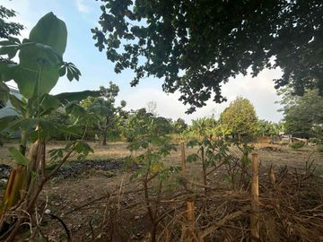 Dijual tanah luas dan lebar dekat alun-alun Cinangka Depok