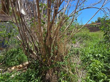 TERRENO EN VENTA