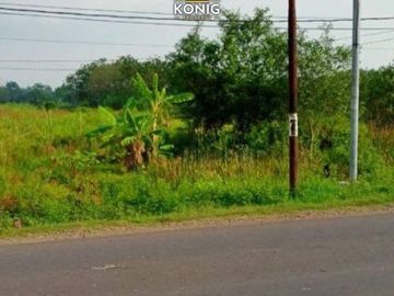 JUAL TANAH di MOJOKERTO 1.5juta/mtr