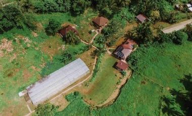 Farm Lot 21,456 sqm w/ fish pond 200 post dragon fruit for sale in Lucban Quezon