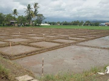 DIJUAL GUDANG + SAWAH SATU HAMPARAN MAROS MAKASSAR