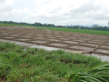 DIJUAL GUDANG + SAWAH SATU HAMPARAN MAROS MAKASSAR