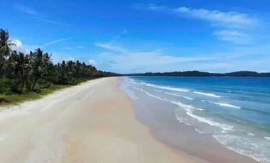 1,000sqm San Vicente Palawan Property for only P4.2m!