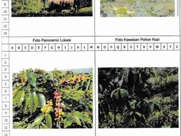 Perusahaan Perkebunan Kandangan 2304 HA Kare Madiun