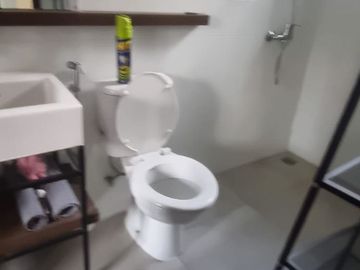 Disewakan Rumah Ful Furnished di Cluster Freja, BSD