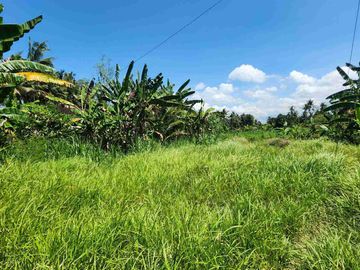 Villa Harga Paling Murah hanya 900 Jutaan Sudah dapat Villa Plus Pool, Lokasi Strategis di Pering dan Saba, Gianyar