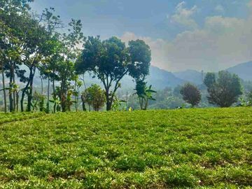 Tanah Strategis 3 Ha Nagrek Bandung Jawa Barat