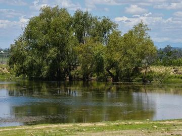 Rancho En Venta Aculco 99 Hectáreas