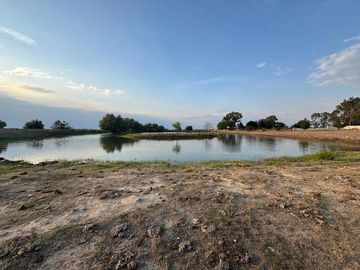 Rancho En Venta Aculco 99 Hectáreas