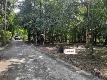 Tanah Cantik Murah Luas 890 Ld 26 di Barat Kota Wates