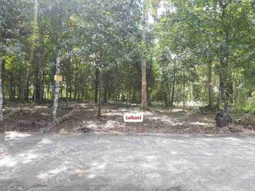 Tanah Cantik Murah Luas 890 Ld 26 di Barat Kota Wates