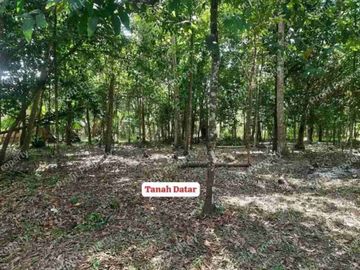 Tanah Cantik Murah Luas 890 Ld 26 di Barat Kota Wates