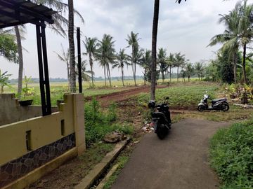 Dijual Tanah Murah di Sindang Jaya Dekat Suvarna Sutera - SHM 70 Jutaan - Bisa Cicil Sampai 30 Kali Tanpa Bunga