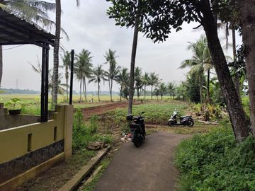 Dijual Tanah Murah di Sindang Jaya Dekat Suvarna Sutera - SHM 70 Jutaan - Bisa Cicil Sampai 30 Kali Tanpa Bunga
