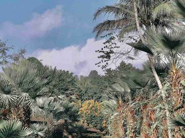 Tanah 5 Ha Beserta Villa Parung Kuda Sukabumi