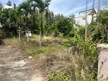 Golf Course Land for Sale in Ban Chang, Rayong – 3 Plots, THB 5 Million Each