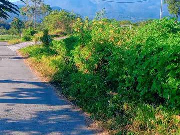 Di jual tanah murah view gunung lesehan  pacet