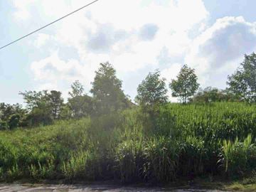 Tanah 750m² Dekat Kampus Udayana Jimbaran Lokasi Strategis