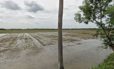 16.5 HAS Vacant lot in Pulilan Bulacan
