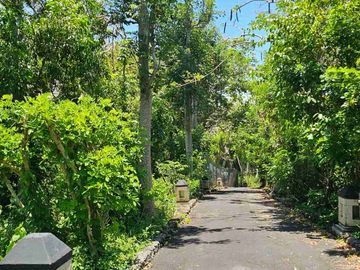 free hold land ocean view at labuan sait Pecatu 16,640m2 idr 7,3 Mill/m2