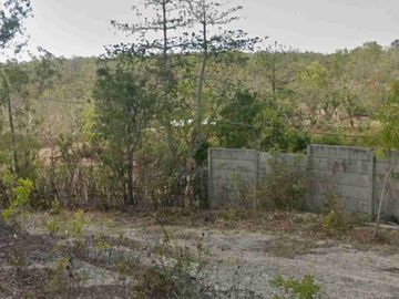 free hold land ocean view at labuan sait Pecatu 16,640m2 idr 7,3 Mill/m2