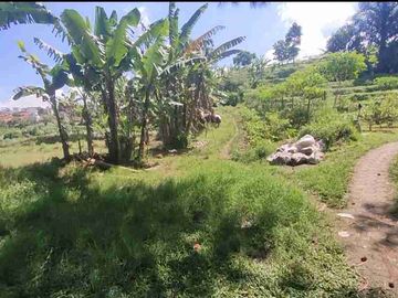 Dijual Tanah Lembang Balong