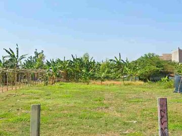 Dijual Tanah Raya Merr Rungkut Surabaya Timur