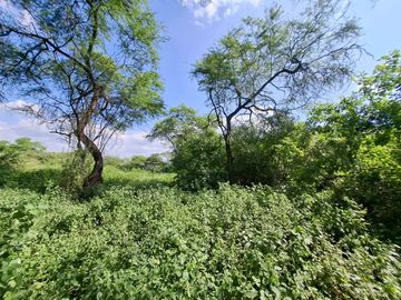 En venta amplio Local Industrial cerca al Caserío Sol Sol- Chulucanas, Piura