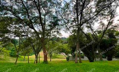Ayala Westgrove Heights (Below Market Value) - Phase 11 Lot