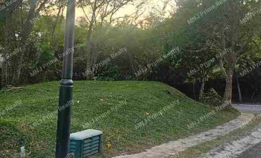 Ayala Westgrove Heights (Below Market Value) - Phase 11 Lot