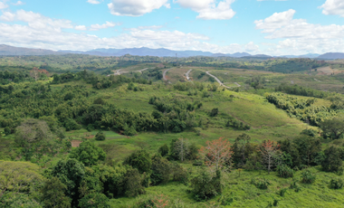 FOR SALE: 645 sqm Residential Lot in San Jose Del Monte, Bulacan - Miravera at Altaraza