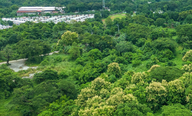 FOR SALE: 5000 sqm Residential Lot in San Jose Del Monte, Bulacan - Miravera at Altaraza