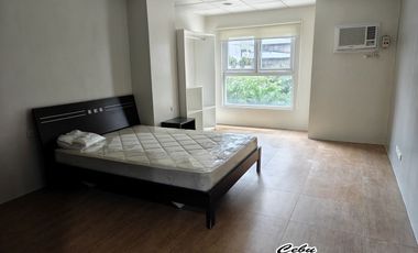 4 Bedroom in Cebu Business Park