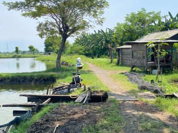 DIJUAL TAMBAK AKTIF – KALISOGO, JABON, SIDOARJO