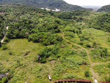 Prime Investment Lot for Sale – 268,605 SQM in Calamba, Laguna Near TR4