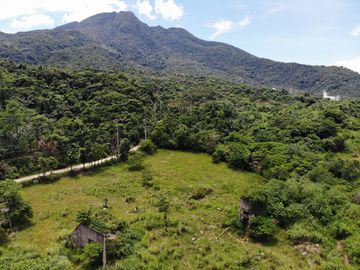 Prime Investment Lot for Sale – 268,605 SQM in Calamba, Laguna Near TR4