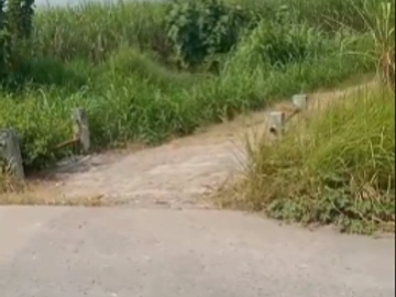 DIJUAL LAHAN – JETIS, MOJOKERTO