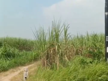 DIJUAL LAHAN – JETIS, MOJOKERTO