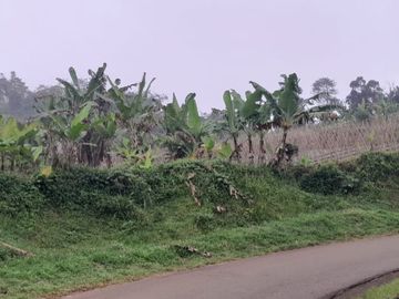 dijual lahan pinggir jalan 5Ha cocok untuk berkebun / wisata