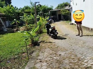 Tanah Murah Lokasi Beciro Wonoayu  Sidoarjo