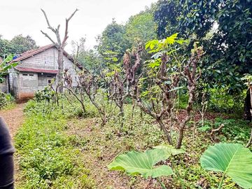 Dijual cepat Tanah hook harga NJOP rata kotak siap bangun dekat BSI dan BCL Sawangan Depok