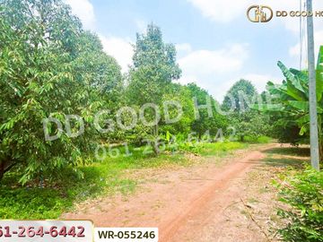 Land for sale in Khok Mai Lai, Nong Cha Om intersection, Prachinburi city WR-055246