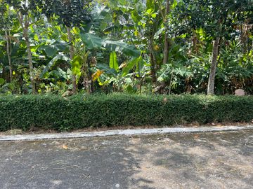 Tanah Datar Utara Pasar Mojogedang 990m2 Strategis